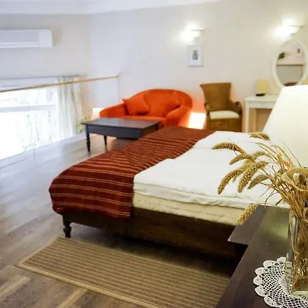 Senasis Pastas 4* Druskininkai