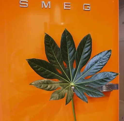 Senasis Pastas Guest house