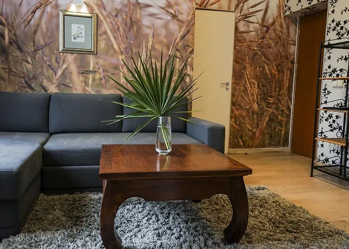 Senasis Pastas Guest house 4*